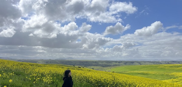 Recent blog post img